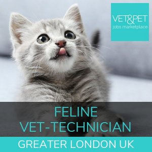 Feline Veterinary Technician