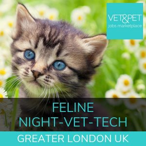 Feline Night Veterinary Technician