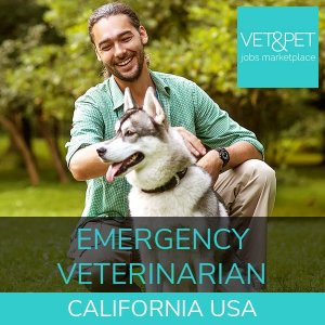 Emergency Veterinarian