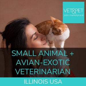 Small Animal + Avian-Exotic Veterinarian
