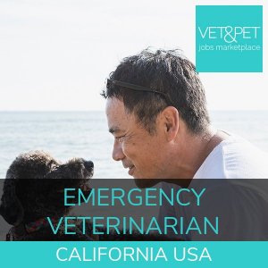 Emergency Veterinarian