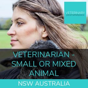 Veterinarian – Small or Mixed Animal