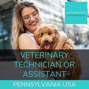 Veterinary Technician Jobs - Vet Tech Jobs @Vet&Pet Jobs - USA + Canada