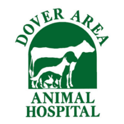 Dover Area Animal Hospital