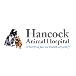 Hancock Animal Hospital