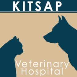 Kitsap Veterinary Hospital