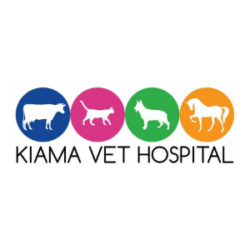 Kiama Veterinary Hospital