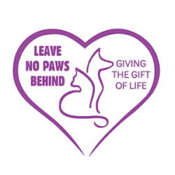 Leave No Paws Behind Veterinary Hospital