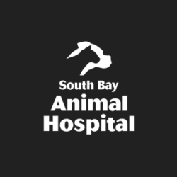 South Bay Animal Hospital & Emergency