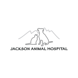 Jackson Animal Hospital